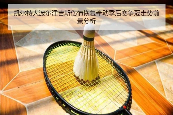 凯尔特人波尔津吉斯伤情恢复牵动季后赛争冠走势前景分析